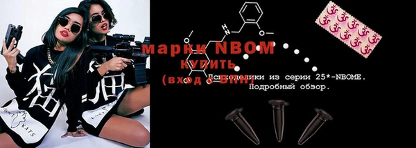 сатива Михайловка