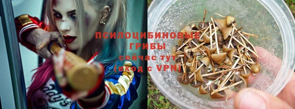 мдпв Надым