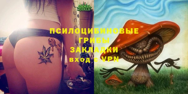 мдпв Надым